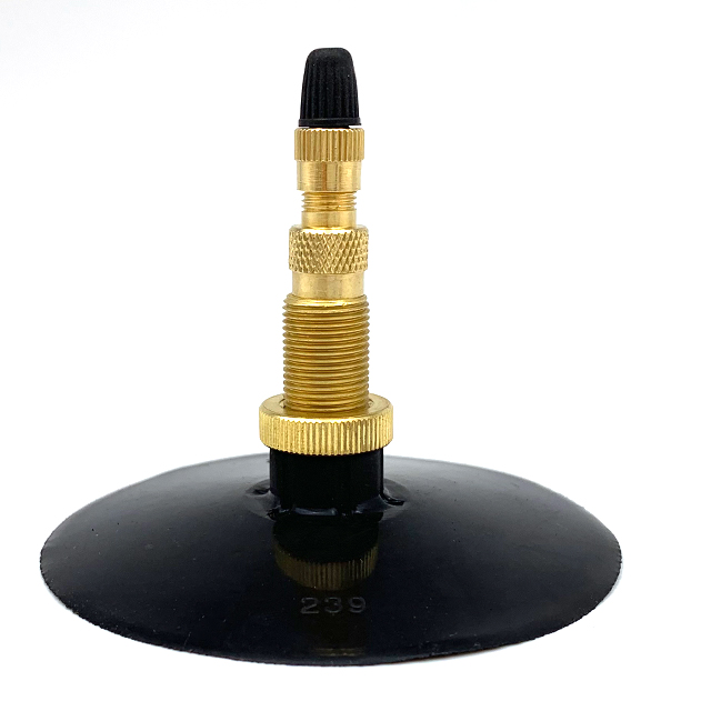 Tubeless tire valves